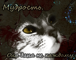 Лед